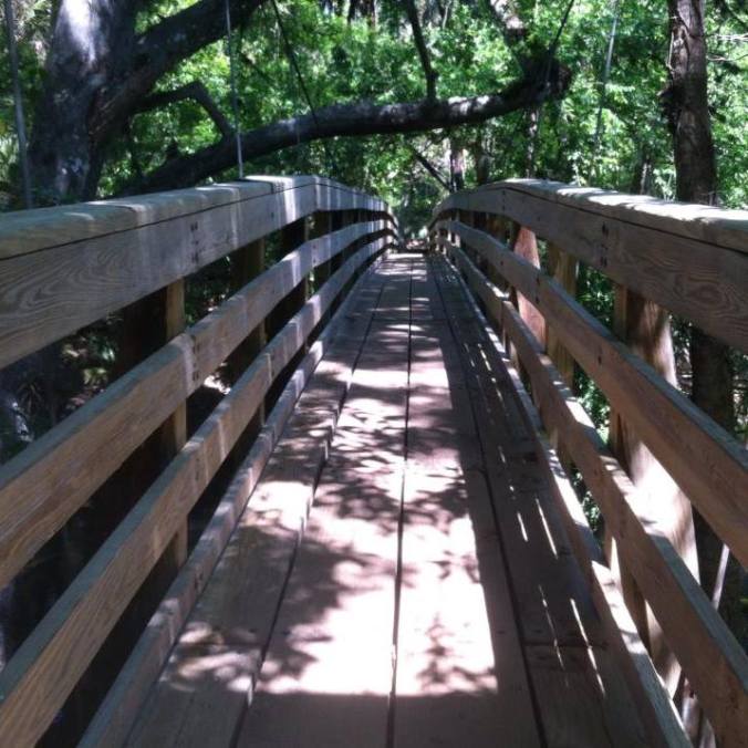 1619420_10203114295719749_1192158614_n