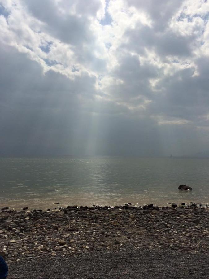 12742248_945502422205648_4757881220385791930_n